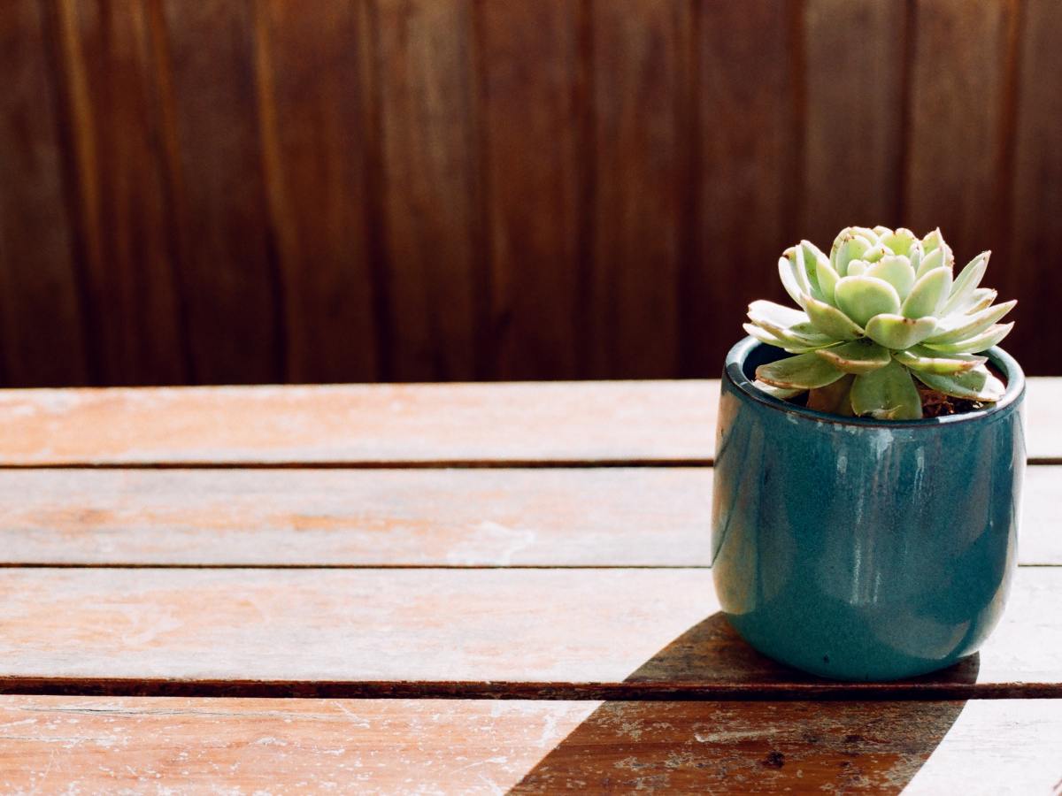 GI Issues & Disordered Eating